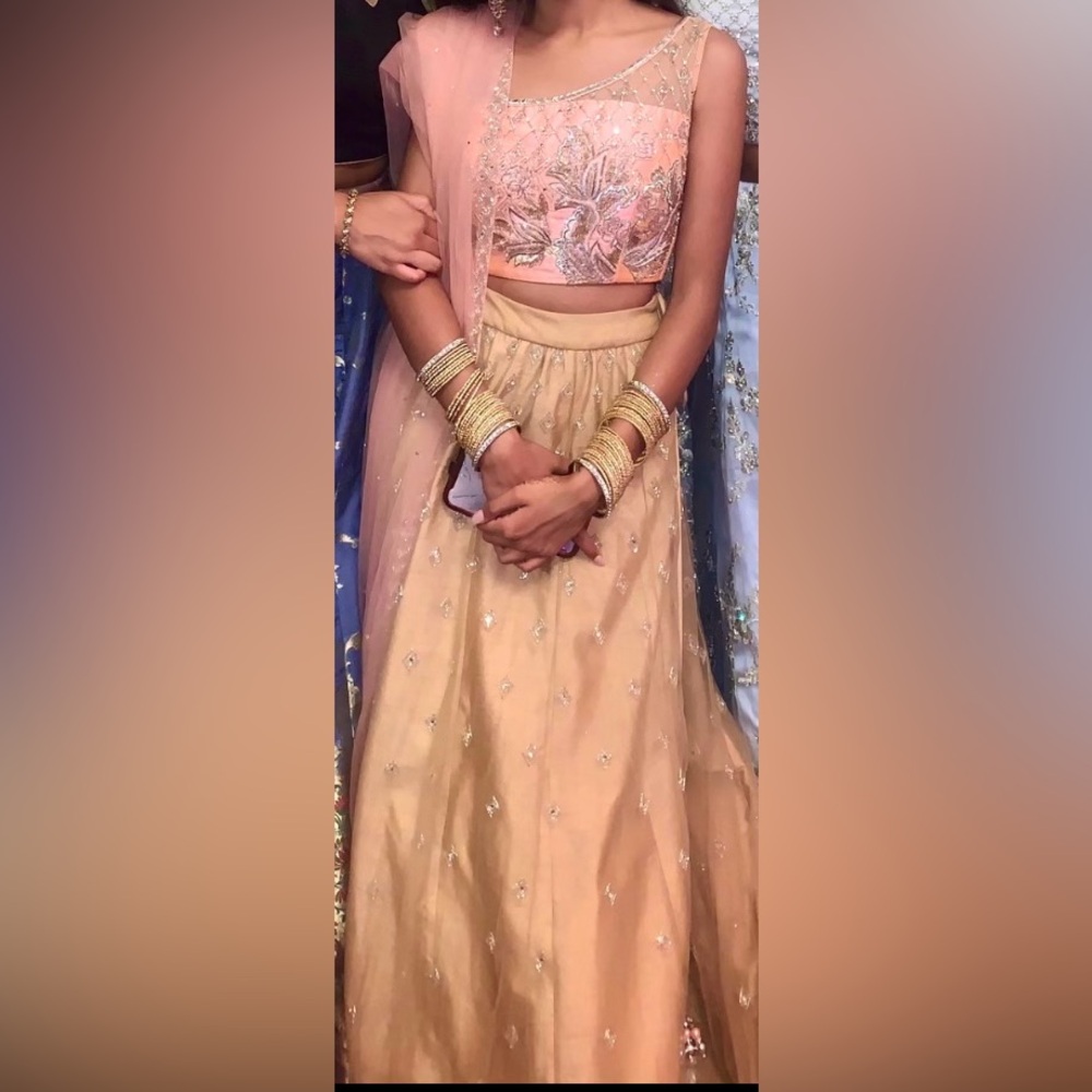 Net and Organza Lehenga color beige and pink